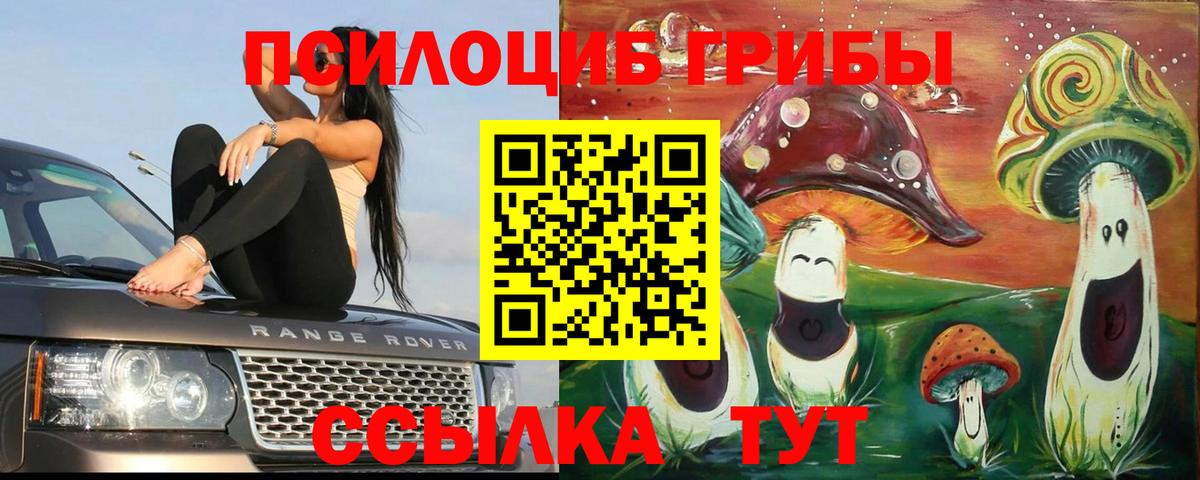 Галлюциногенные грибы прущие грибы Качканар